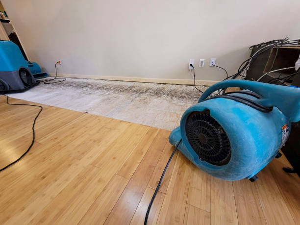Professional Flood Damage Cleanup technician working in Olden, TX